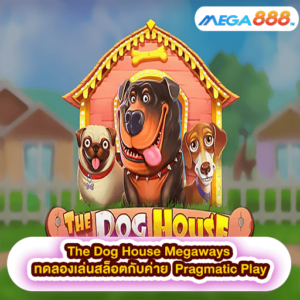 Dragon is Fire ทดลองเล่นสล็อตกับค่าย Red Tiger 48 The Dog House Megaways ทดลองเล่นสล็อตกับค่าย Pragmatic Play